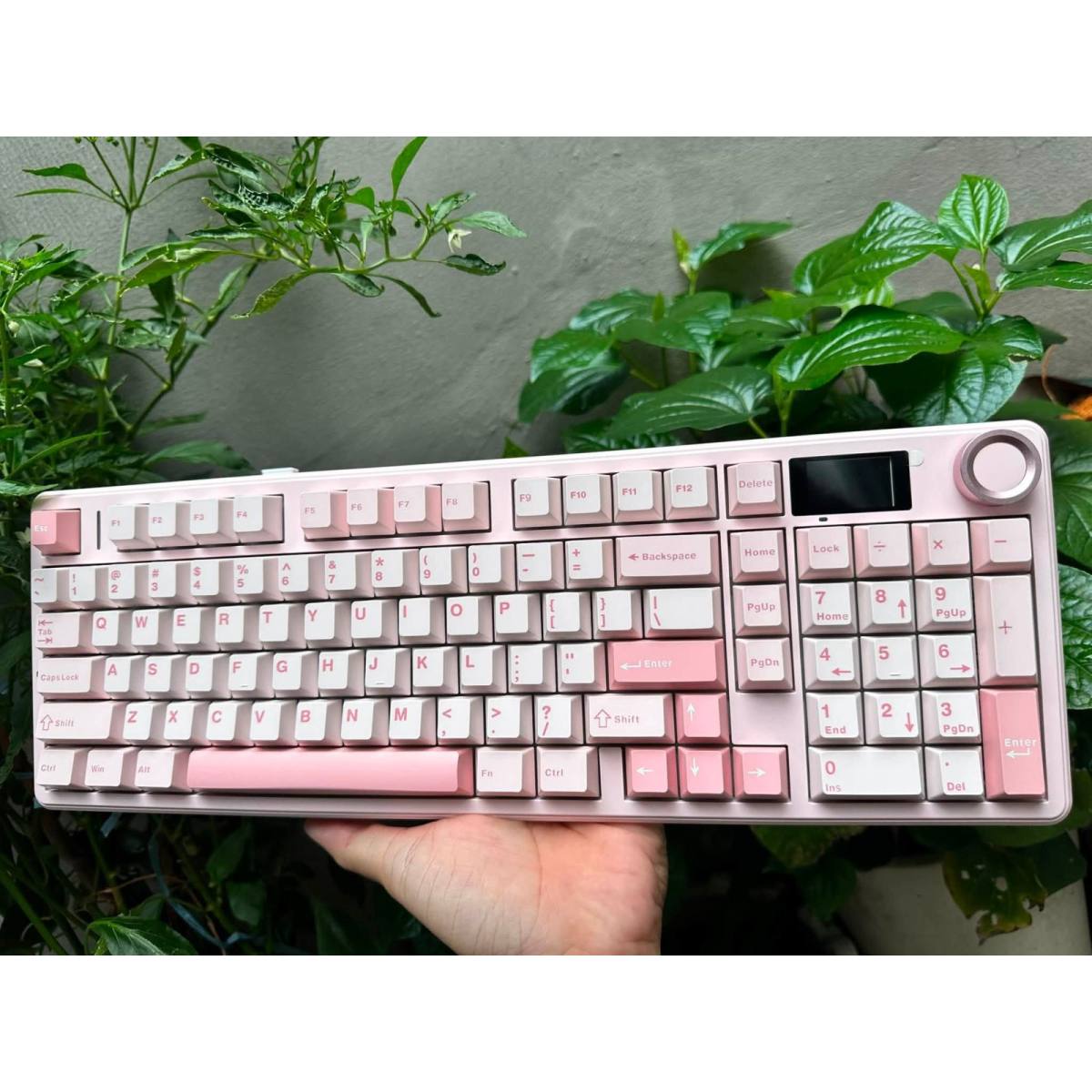 Bàn phím AULA F99 MAX Pink Mist White
