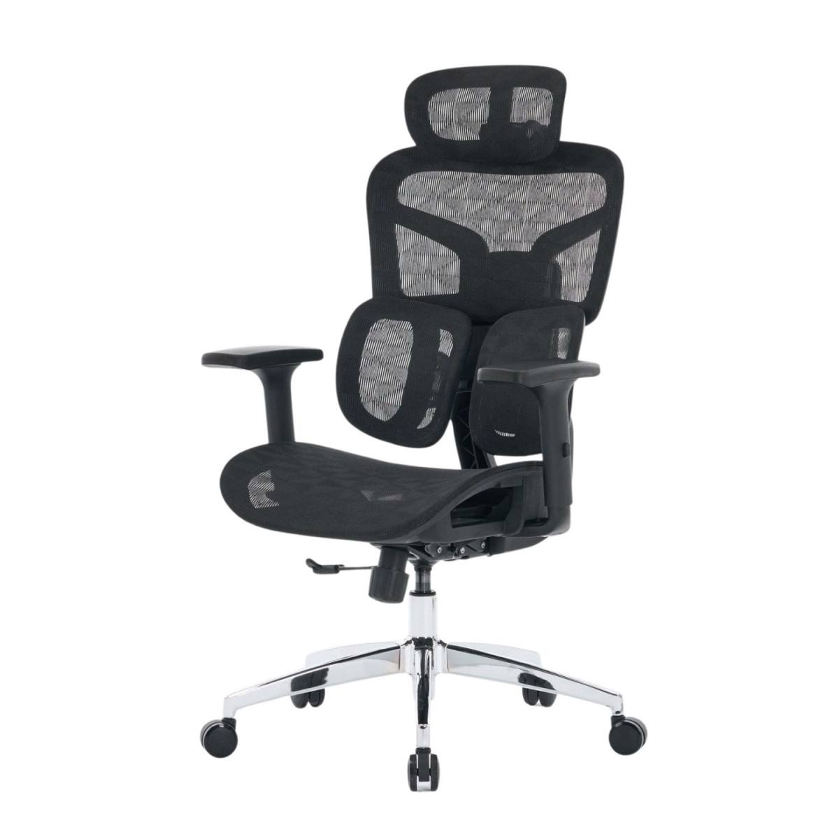 Ghế công thái học EDRA | EEC226