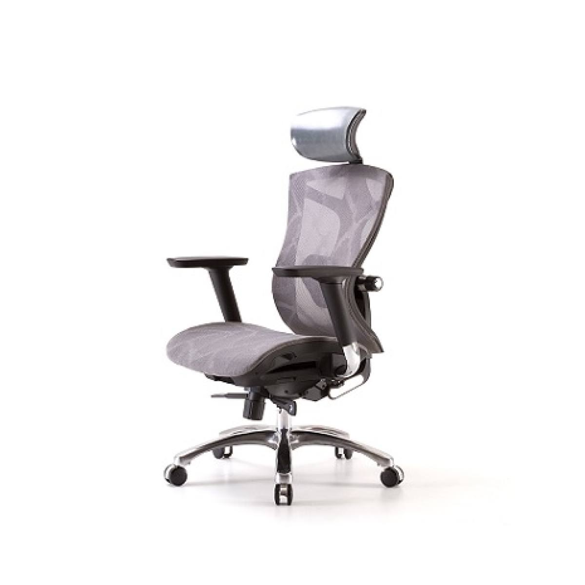 Ghế công thái học SIHOO V1