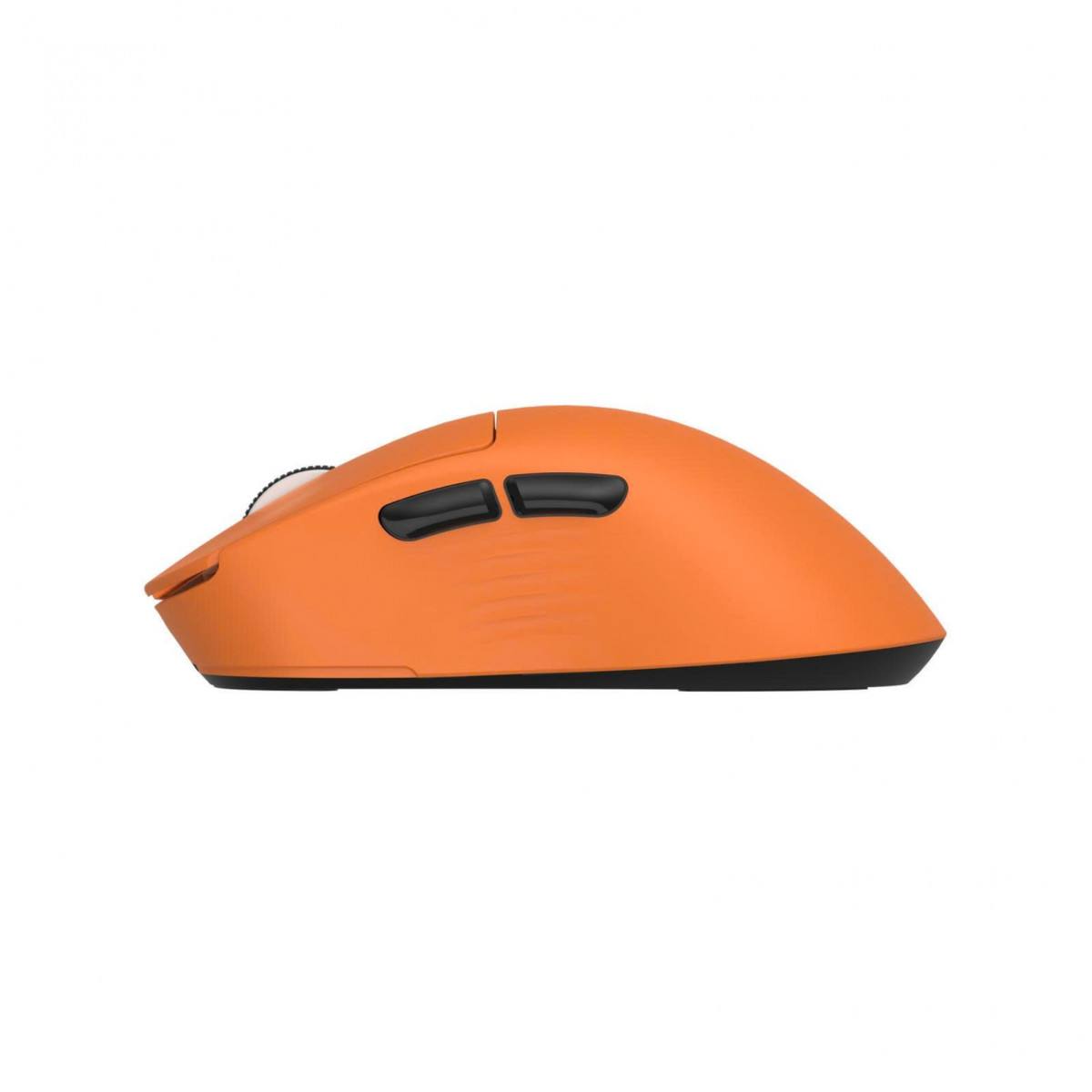 Chuột ThunderBird TM621W Triple Mode