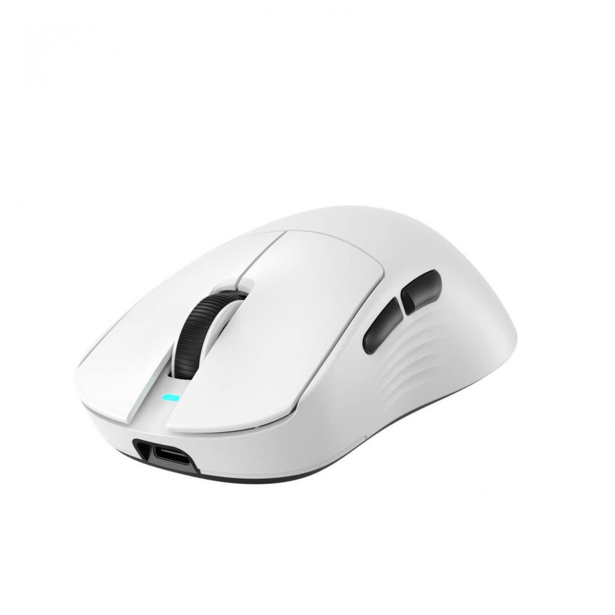 Chuột ThunderBird TM621W Triple Mode