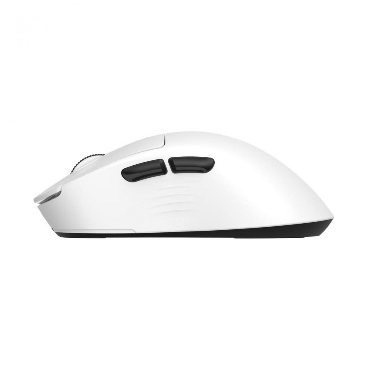 Chuột ThunderBird TM621W Triple Mode