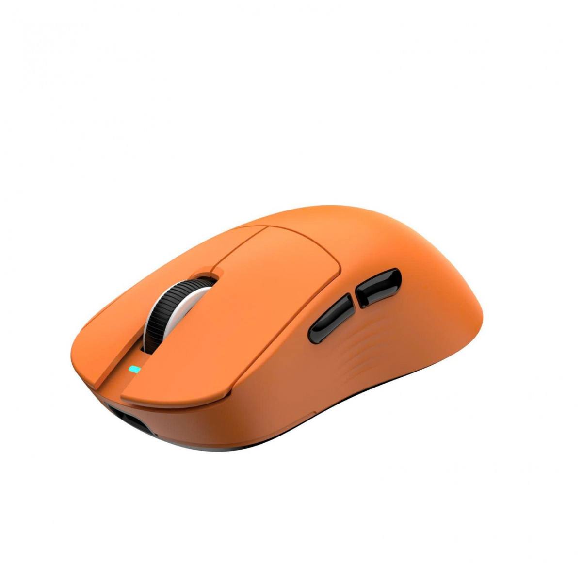 Chuột ThunderBird TM621W Triple Mode