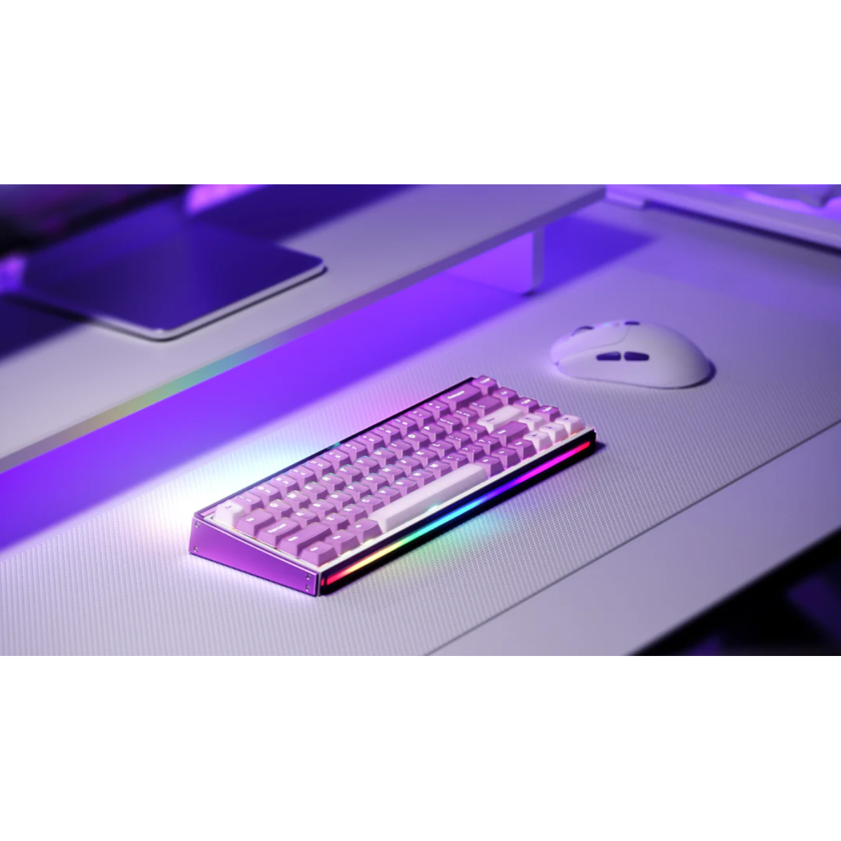 Bàn phím AKKO Ray68 Misty Purple & White - HE AstroAim Magnetic Switch