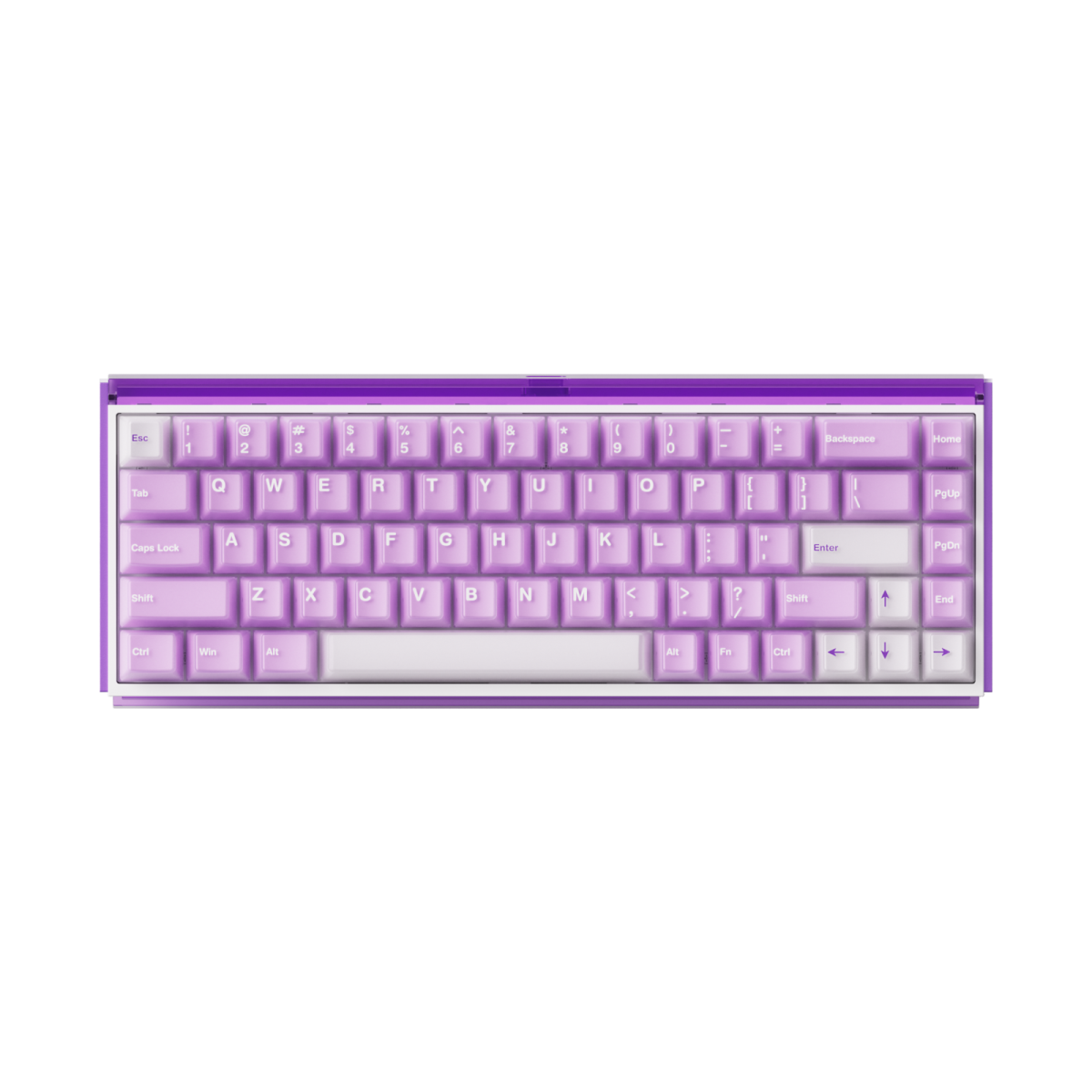 Bàn phím AKKO Ray68 Misty Purple & White - HE AstroAim Magnetic Switch