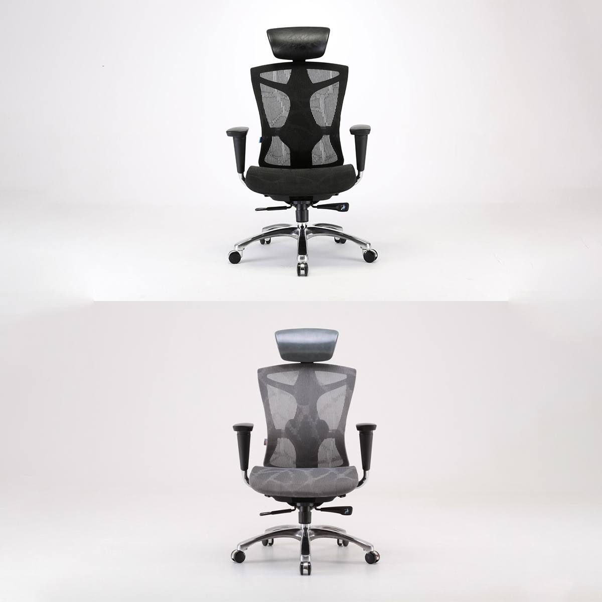 Ghế công thái học ErgoLife ERC-01