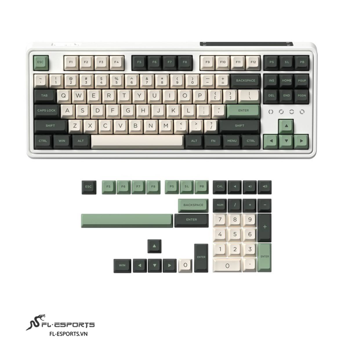 Bàn phím FL-Esports CMK87 SAM Tropical Forest