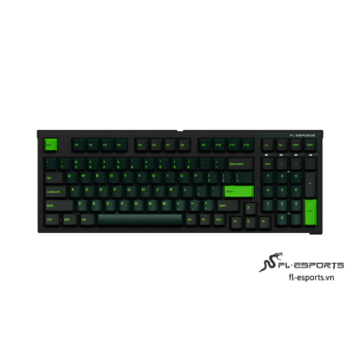 FL ESPORTS