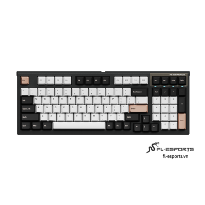 FL ESPORTS