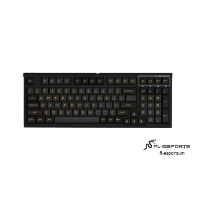 FL ESPORTS