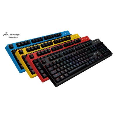 FL ESPORTS