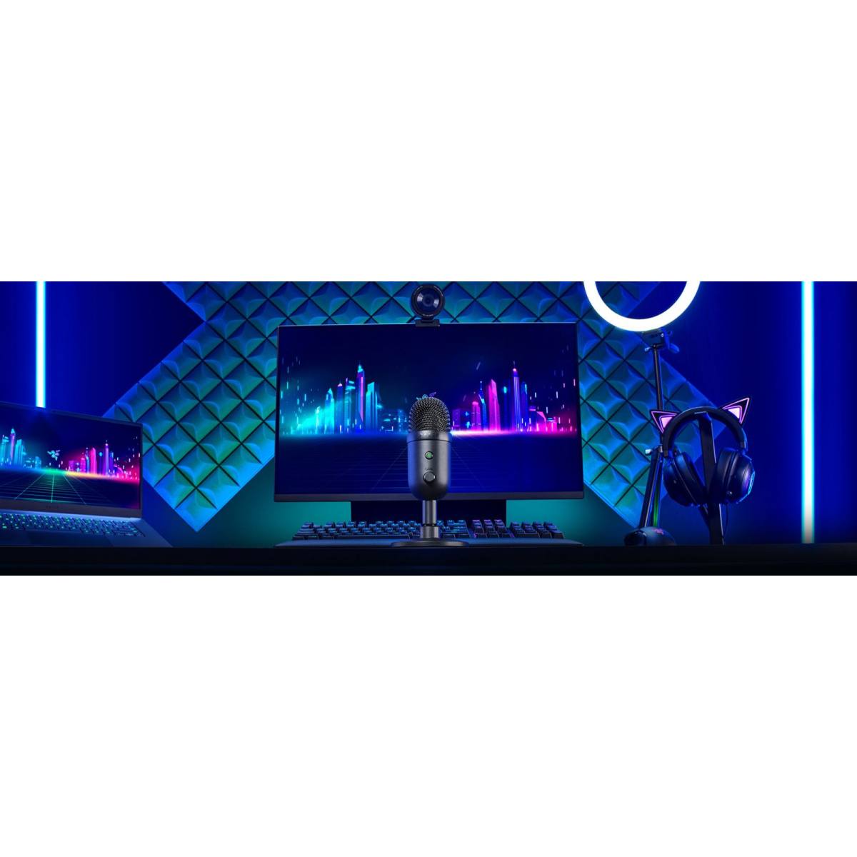 Micro RAZER SEIREN V2 X