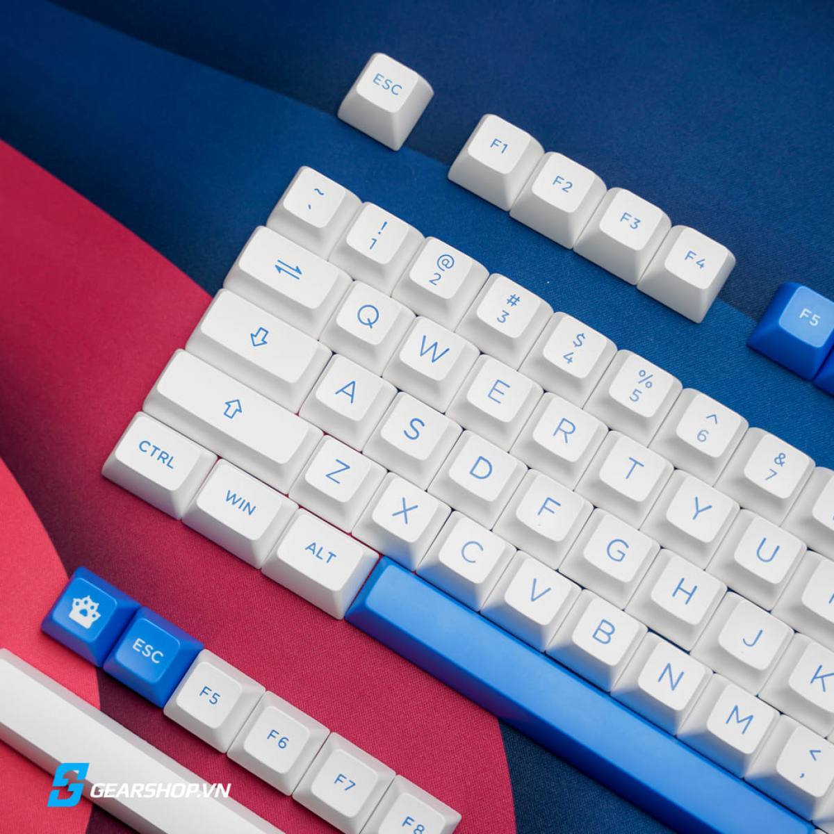 Keycap Akko Blue On White 75% | Tháo phím PC75B