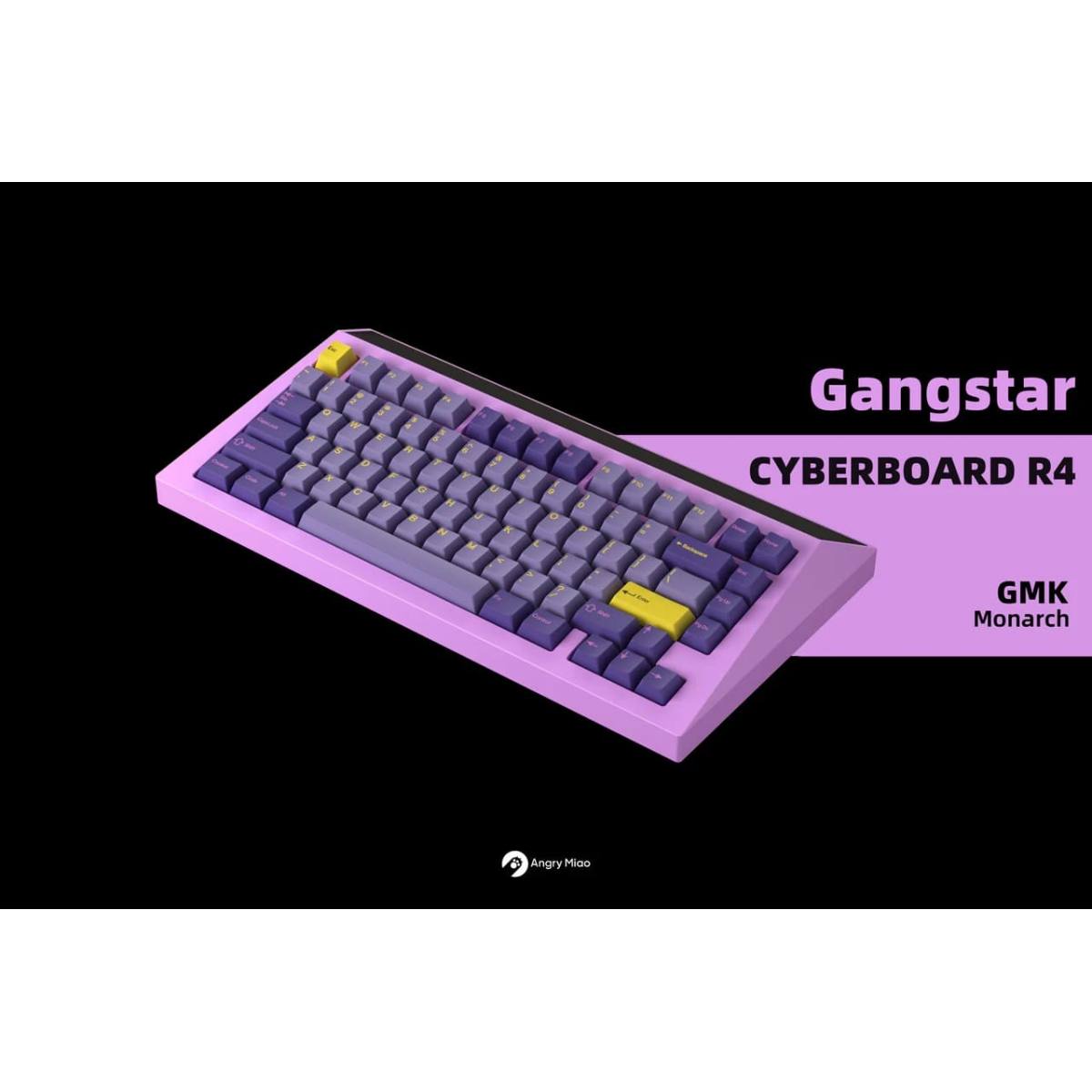 Base KIT Angry Miao Cyberboard R4 Gangstar